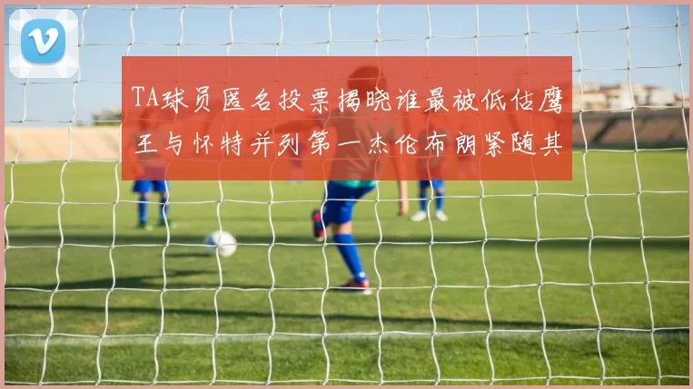 TA球员匿名投票揭晓谁最被低估鹰王与怀特并列第一杰伦布朗紧随其后